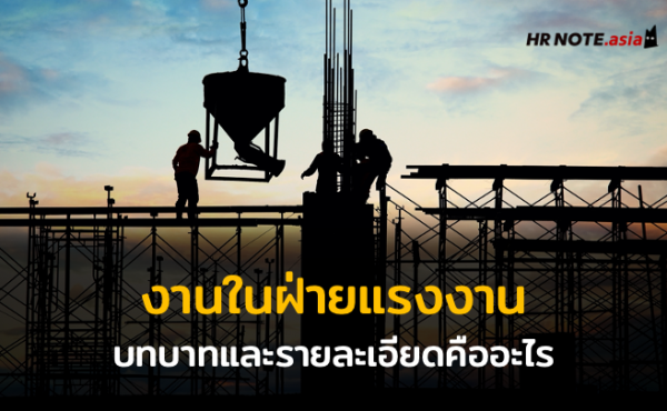 บทบาทและรายละเอียดของงานในฝ่ายแรงงานคืออะไร 802 บทบาทและรายละเอียดของงานในฝ่ายแรงงานคืออะไร