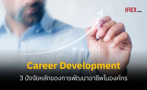 3 ปัจจัยหลักของการพัฒนาอาชีพ (Career Development) ในองค์กร 1 Career Development