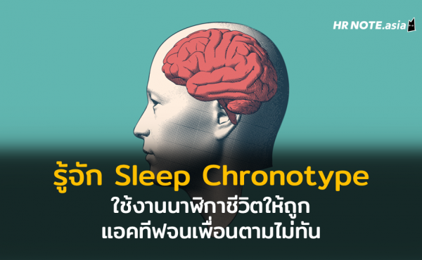 ทำงานทีไรง่วงทุกที! รู้จัก Sleep Chronotype ใช้งานนาฬิกาชีวิตให้ถูก แอคทีฟจนเพื่อนตามไม่ทัน