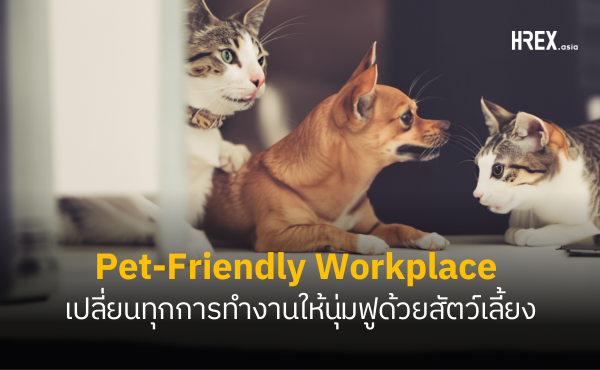 Pet-Friendly Workplace : ออฟฟิศนี้มีหมาแมว