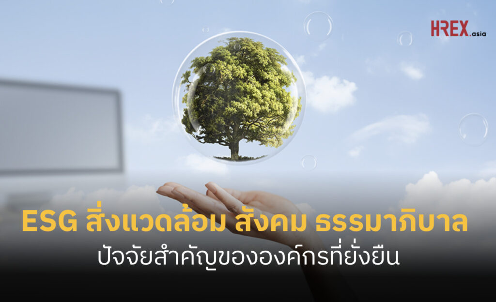 ESG สร้างธุรกิจให้ยั่งยืนด้วยสิ่งแวดล้อม สังคม และธรรมาภิบาล 523 ESG